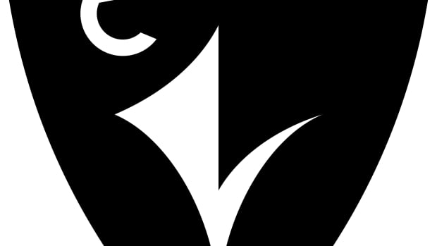 Ravens_Shield-57c7c9c294986da9fe22502d10a06ddb